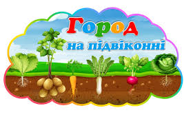 Город на підвіконні 