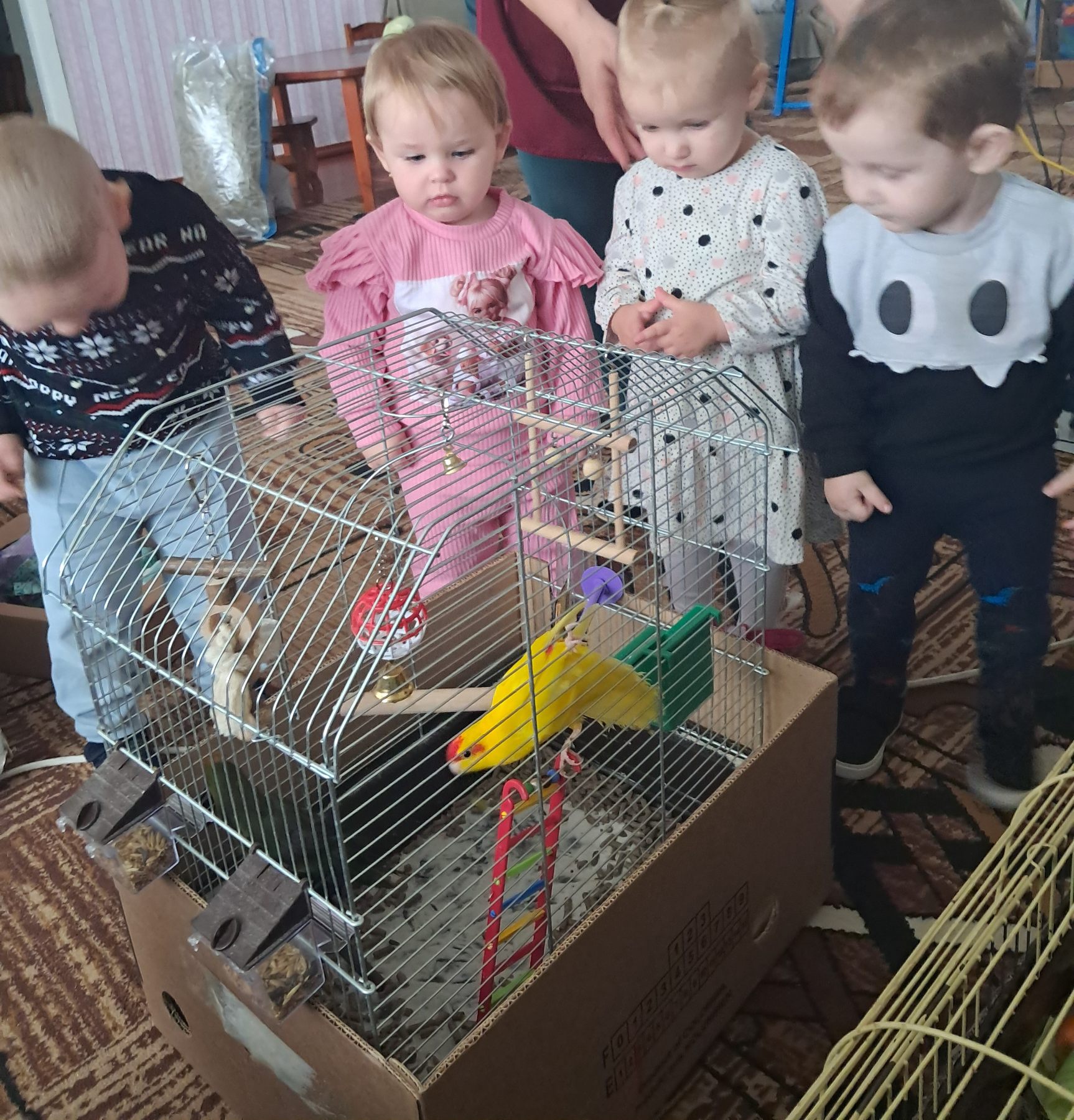 День домашніх тварин